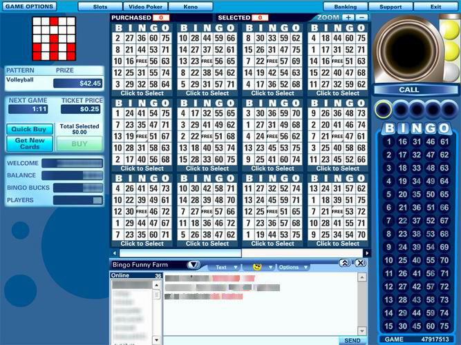 Bingo Hall Screenshot