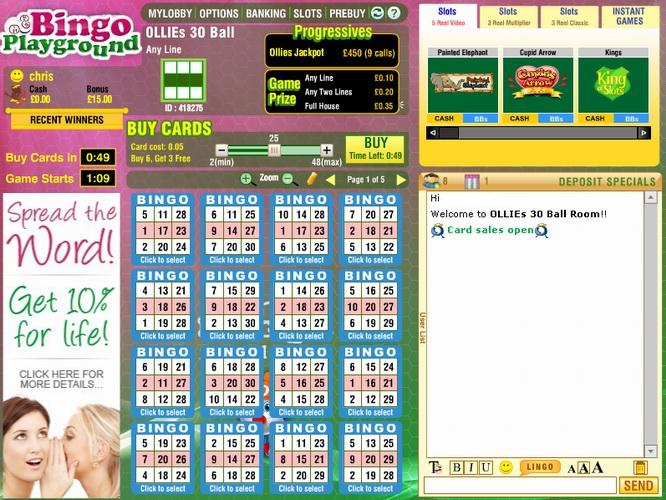 Bingo Playground Screenshot